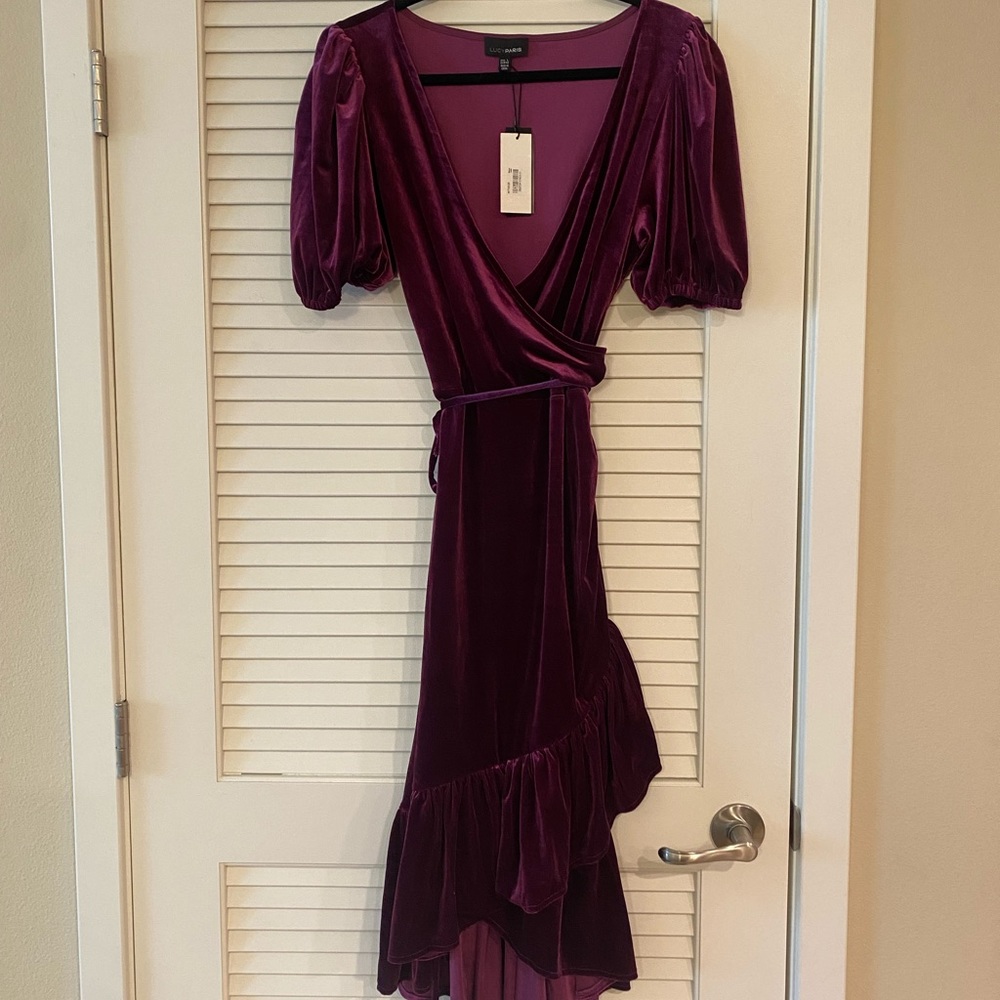 BRAND NEW Lucy Paris Dress Size L Women’s Dress